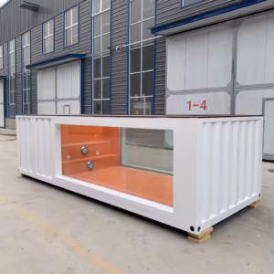 20ft Container Swimming Pool With Fiber Glass Window